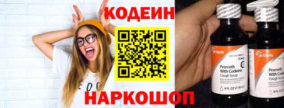 индика Можга