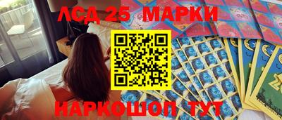индика Можга