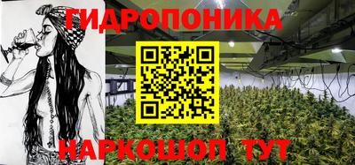 PSILOCYBIN Можайск
