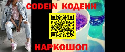 индика Можга