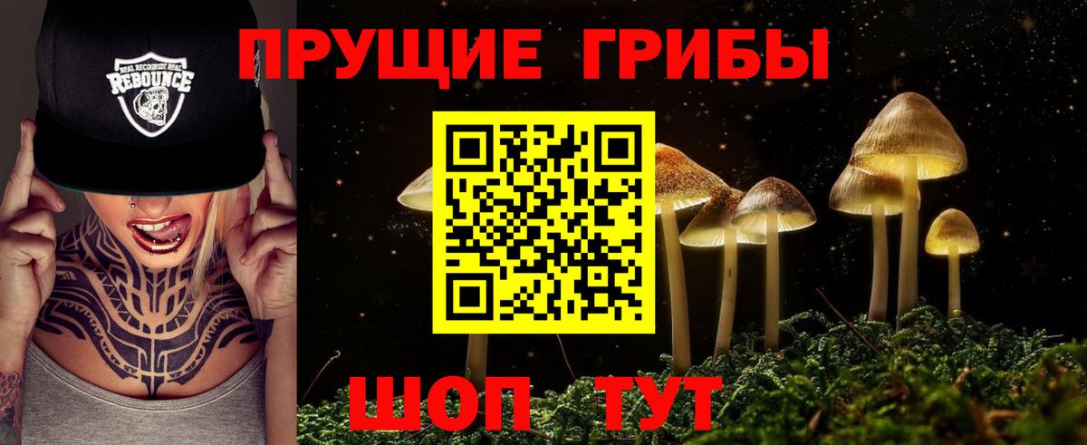 Галлюциногенные грибы GOLDEN TEACHER Тольятти