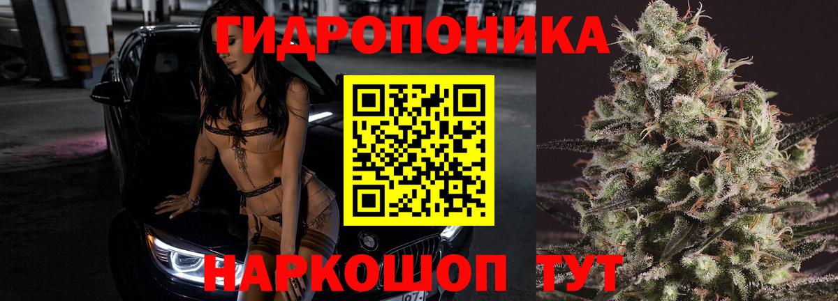 Бошки Шишки планчик  Марихуана Ganja  Вход с VPN  Тольятти 